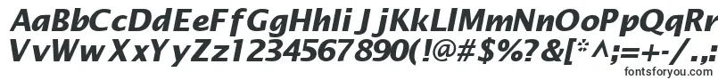 MachadosanssskBoldItalic Font – Fonts Starting with M