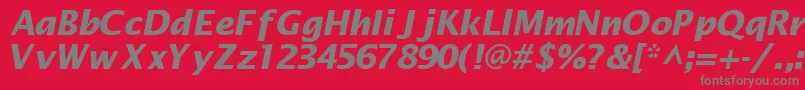 フォントMachadosanssskBoldItalic – 赤い背景に灰色の文字