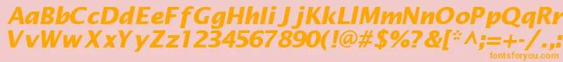 MachadosanssskBoldItalic Font – Orange Fonts on Pink Background