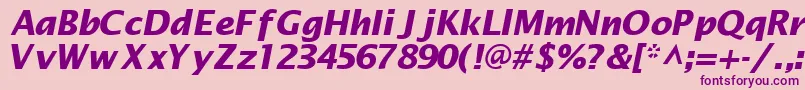 MachadosanssskBoldItalic Font – Purple Fonts on Pink Background