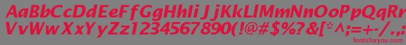 MachadosanssskBoldItalic-Schriftart – Rote Schriften auf grauem Hintergrund