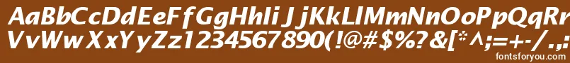 フォントMachadosanssskBoldItalic – 茶色の背景に白い文字