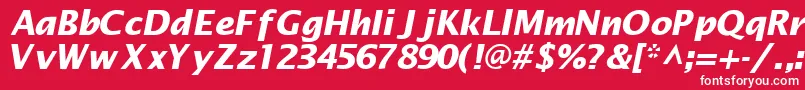 MachadosanssskBoldItalic Font – White Fonts on Red Background