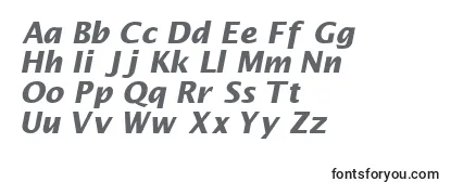 MachadosanssskBoldItalic-fontti