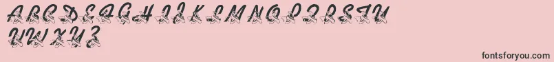 LmsDanceShoes Font – Black Fonts on Pink Background