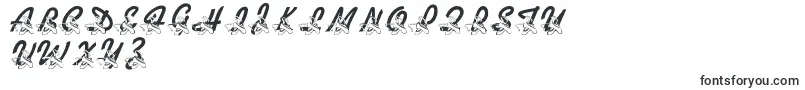 LmsDanceShoes Font – Fonts for Google Chrome