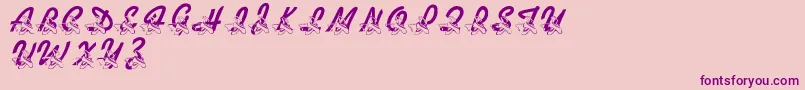 LmsDanceShoes Font – Purple Fonts on Pink Background