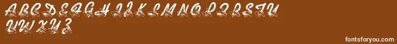 LmsDanceShoes Font – White Fonts on Brown Background