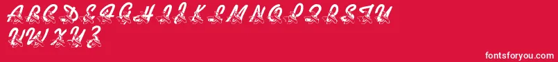 LmsDanceShoes Font – White Fonts on Red Background