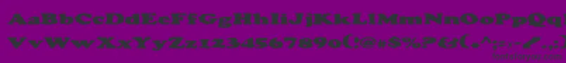 Charlemagne Font – Black Fonts on Purple Background