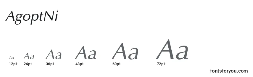 Размеры шрифта AgoptNi