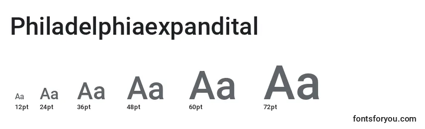 Philadelphiaexpandital Font Sizes