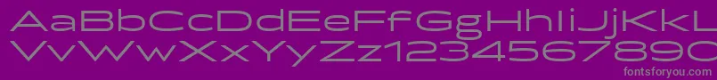 Police Briller – polices grises sur fond violet