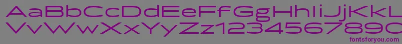 Briller Font – Purple Fonts on Gray Background