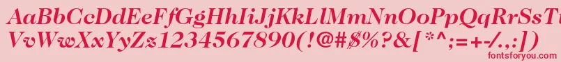 Caslon224stdBolditalic Font – Red Fonts on Pink Background