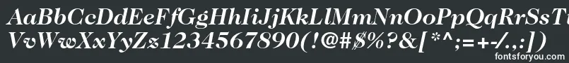 フォントCaslon224stdBolditalic – 白い文字