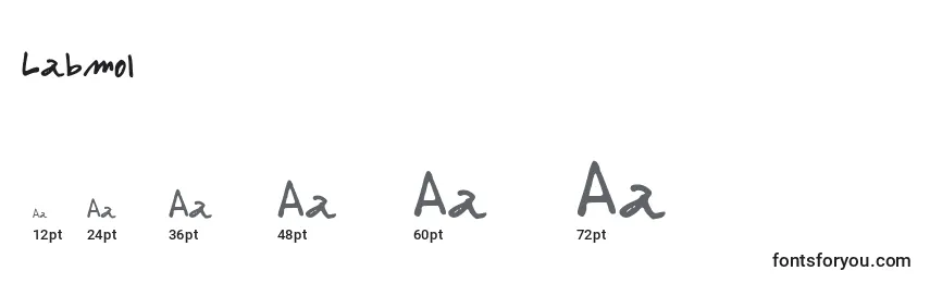 Labmol Font Sizes