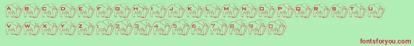 LmsElephantTattoo Font – Red Fonts on Green Background