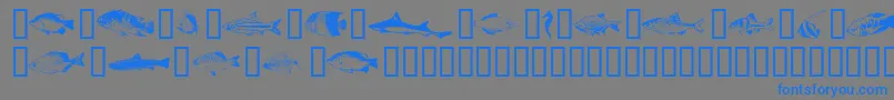 フォントFishpta – 灰色の背景に青い文字