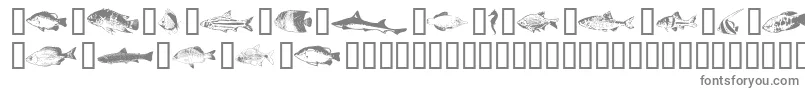 More about Fishpta Font Fishpta Font – Gray Fonts