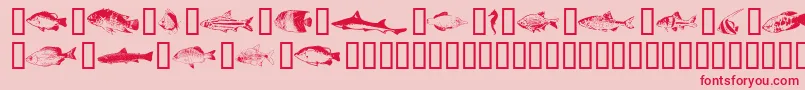 Fishpta Font – Red Fonts on Pink Background