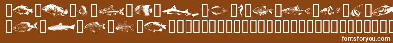 Fishpta Font – White Fonts on Brown Background