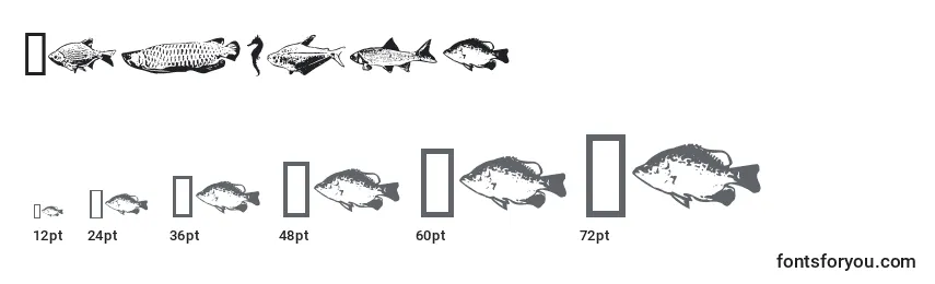 Größen der Schriftart Fishpta