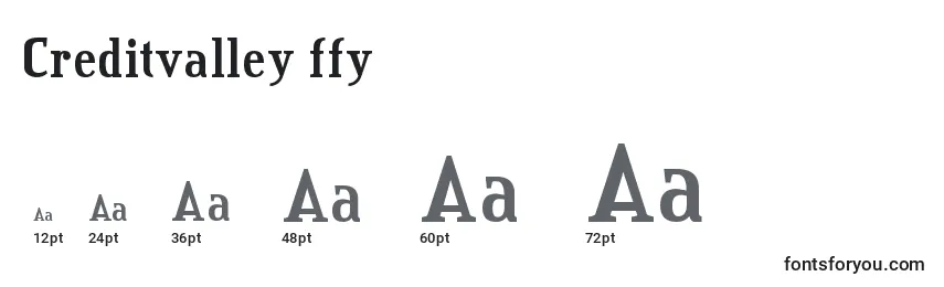 Размеры шрифта Creditvalley ffy