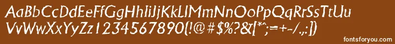 AdelonrandomItalic Font – White Fonts on Brown Background