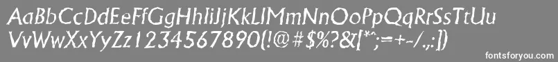 AdelonrandomItalic Font – White Fonts on Gray Background