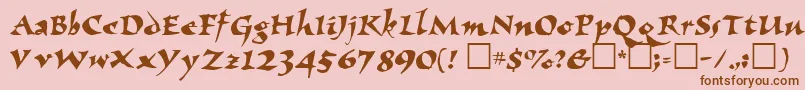 ElbjorgScript Font – Brown Fonts on Pink Background