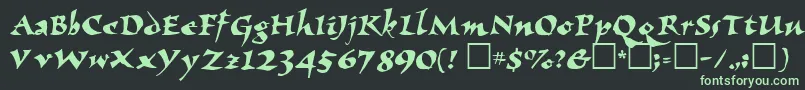 ElbjorgScript Font – Green Fonts on Black Background
