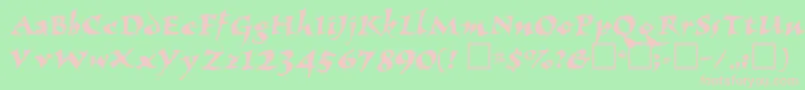 ElbjorgScript Font – Pink Fonts on Green Background