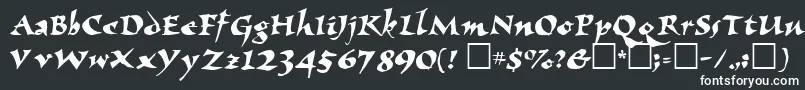 ElbjorgScript Font – White Fonts on Black Background