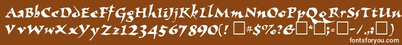 ElbjorgScript Font – White Fonts on Brown Background