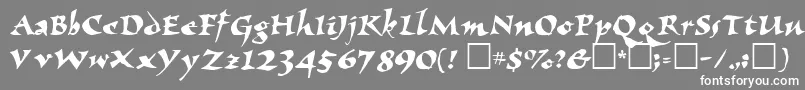 ElbjorgScript Font – White Fonts on Gray Background
