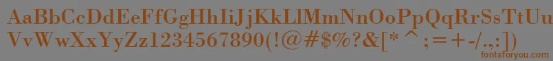 StBodoni Font – Brown Fonts on Gray Background