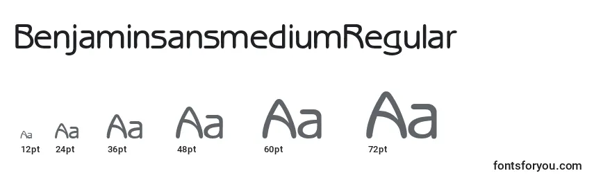 Размеры шрифта BenjaminsansmediumRegular