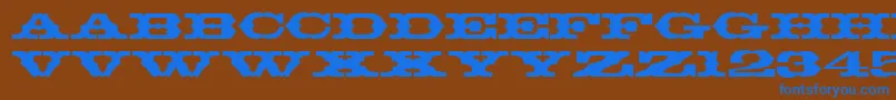 T720DecoRegular Font – Blue Fonts on Brown Background