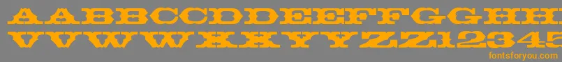 T720DecoRegular Font – Orange Fonts on Gray Background