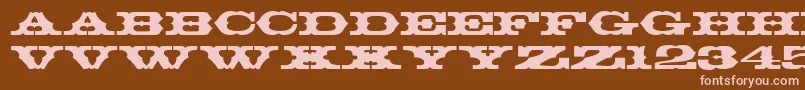 T720DecoRegular Font – Pink Fonts on Brown Background