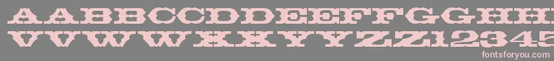 T720DecoRegular Font – Pink Fonts on Gray Background