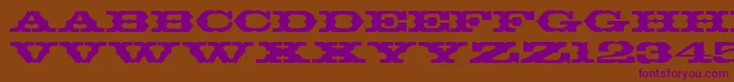 T720DecoRegular Font – Purple Fonts on Brown Background