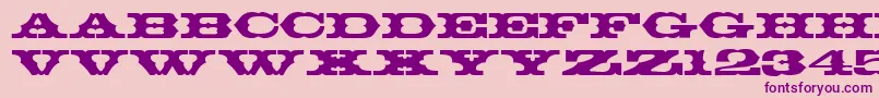 T720DecoRegular Font – Purple Fonts on Pink Background