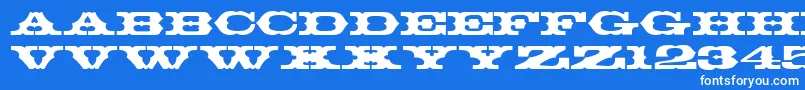 T720DecoRegular Font – White Fonts on Blue Background