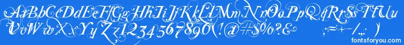 SpecialType Font – White Fonts on Blue Background
