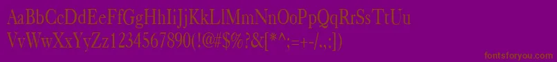 CasquecondensedRegular Font – Brown Fonts on Purple Background