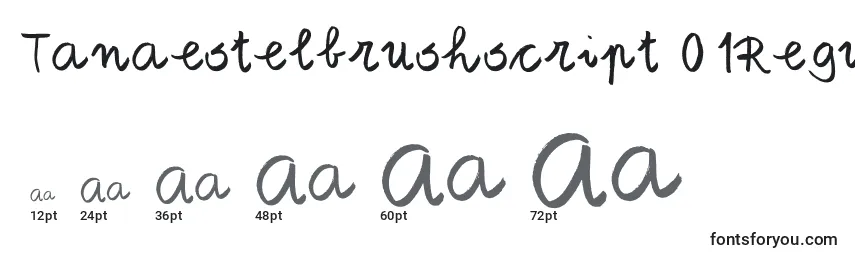 Размеры шрифта Tanaestelbrushscript01Regular