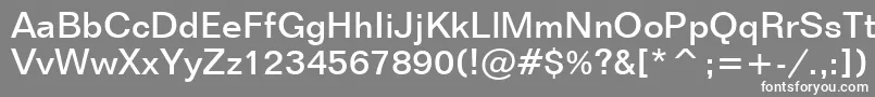 FolioMediumBt Font – White Fonts on Gray Background