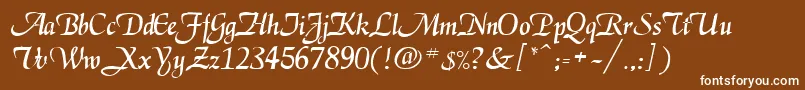 Police EkenasRegular – polices blanches sur fond brun
